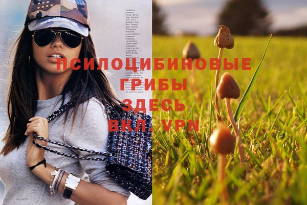 бошки Алзамай