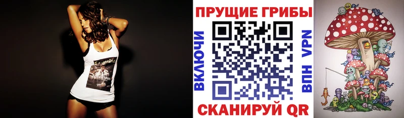 Псилоцибиновые грибы Psilocybine cubensis  Цимлянск 