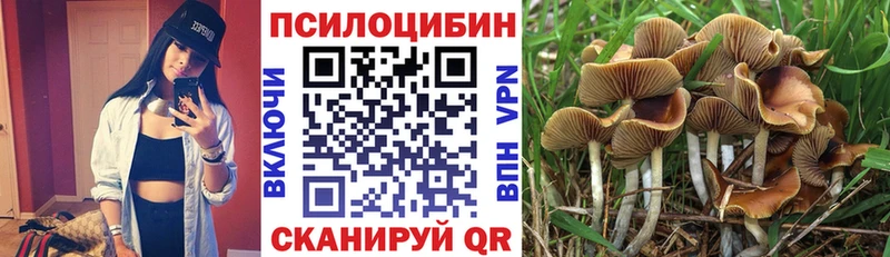 Галлюциногенные грибы GOLDEN TEACHER Цимлянск